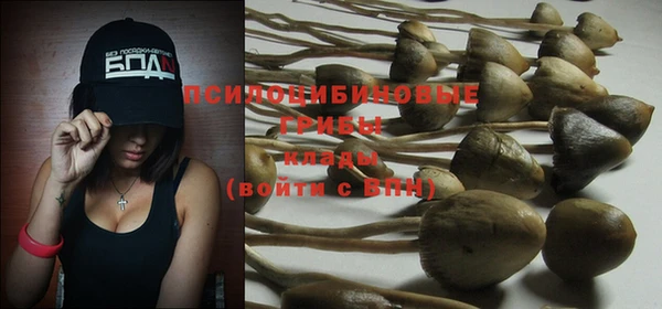 стафф Бежецк