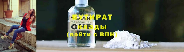 шишки Белая Холуница