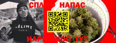 каннабис Будённовск