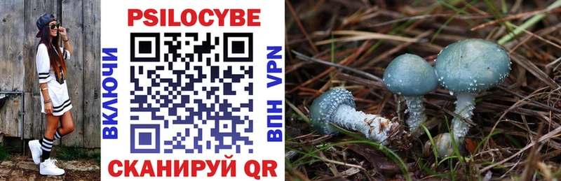 Псилоцибиновые грибы Psilocybine cubensis  Благовещенск 