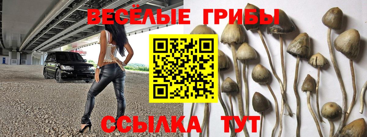 МЕФ кристаллы  Канабис  Вход с VPN  ГЕРОИН  Благовещенск  ГАШИШ  Экстази 